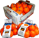 confezione arance - ingrosso ribera